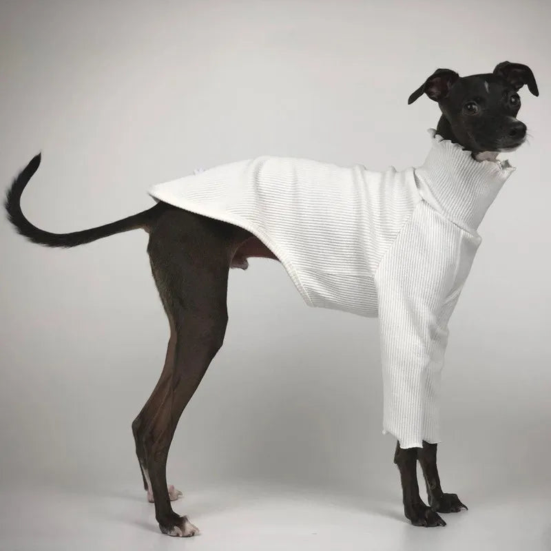 Pyjama Confortable (Deux Pattes) pour Greyhound & Whippet | Vêtements Tricotés en Fil Doux, Coupe Décontractée (Toutes Saisons)