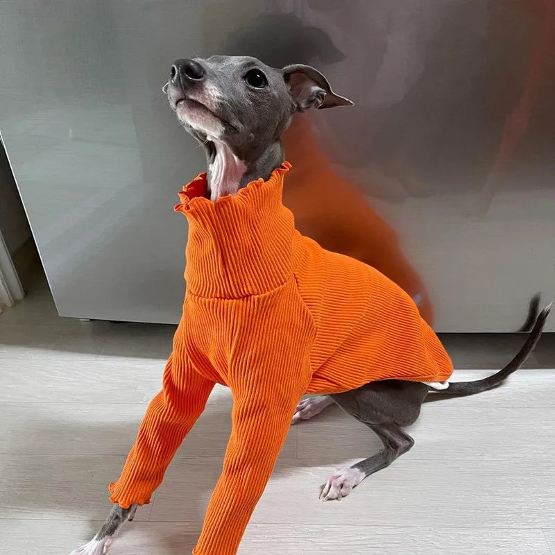 Pyjama Confortable (Deux Pattes) pour Greyhound & Whippet | Vêtements Tricotés en Fil Doux, Coupe Décontractée (Toutes Saisons)