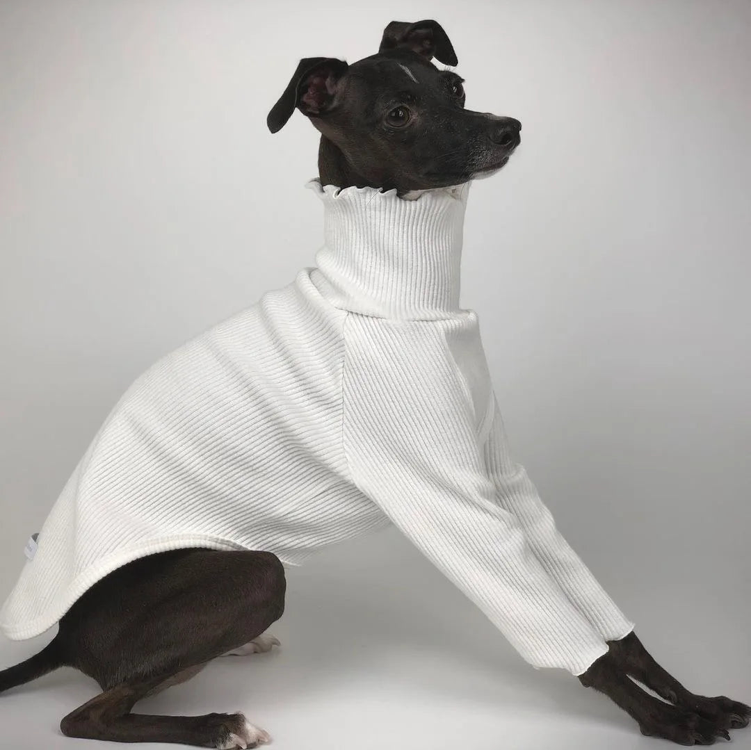 Pyjama Confortable (Deux Pattes) pour Greyhound & Whippet | Vêtements Tricotés en Fil Doux, Coupe Décontractée (Toutes Saisons)