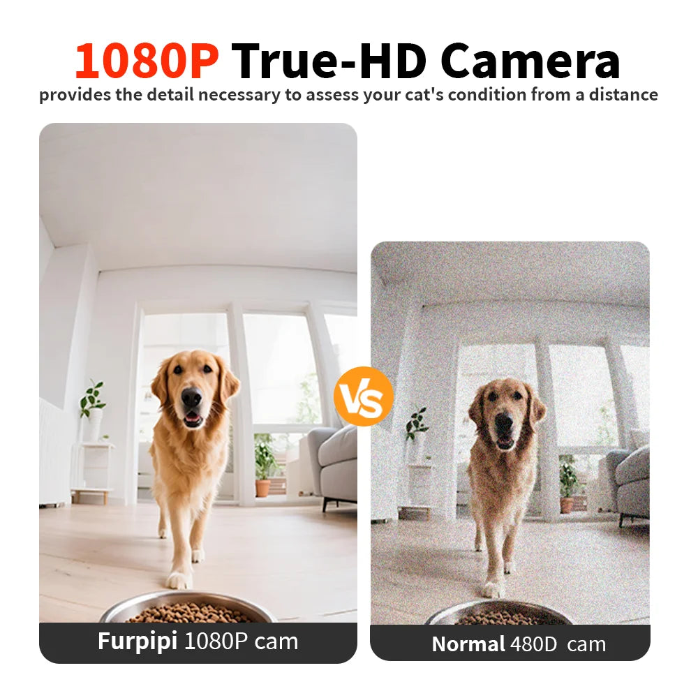 Mangeoire automatique pour chat 8L, avec caméra vidéo 1080p, WiFi 5G, distributeur de nourriture pour chat, enregistreur vocal intelligent pour animaux de compagnie, application Tuya, mangeoire automatique pour animaux de c