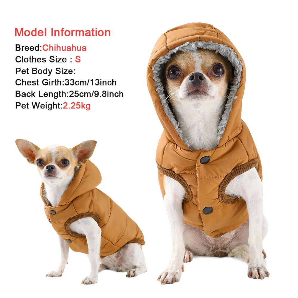Manteau d’Hiver à Capuche pour Chien & Chat – Polaire Chaude, Coupe-Vent & Imperméable | XS à XL | Pour Petits & Moyens Animaux