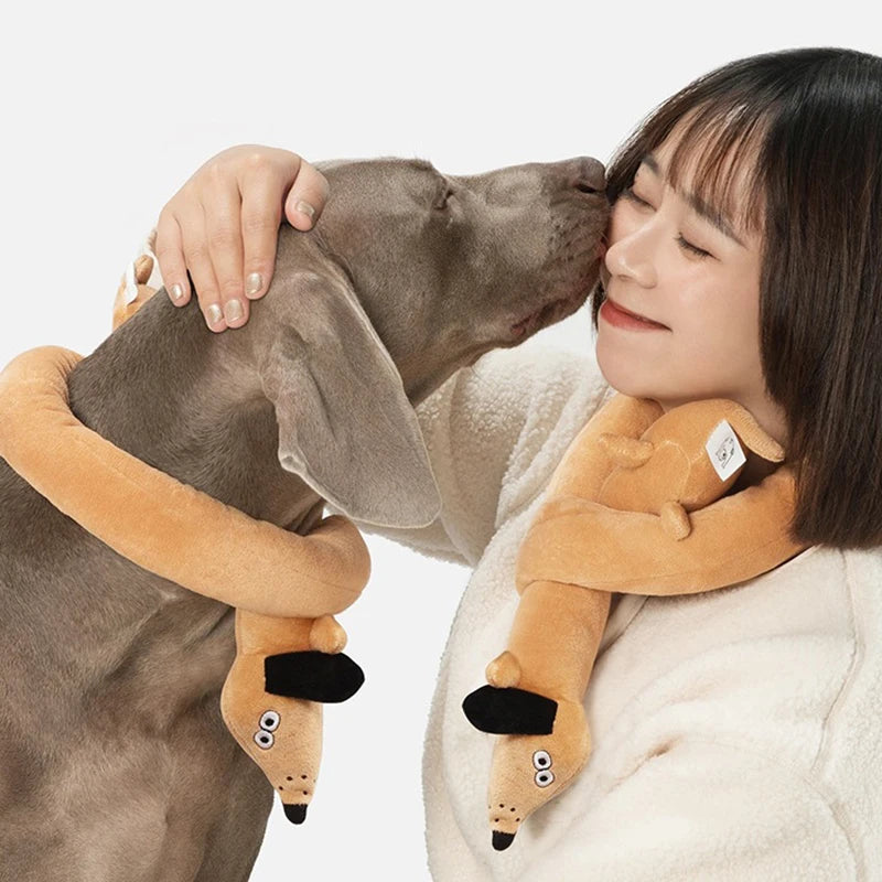 Jouet en Peluche Courte Durable pour Chien | Jouet Interactif Anti-Ennui (Tire à la Corde) | Idéal pour Chiots et Chiens de Toute Taille