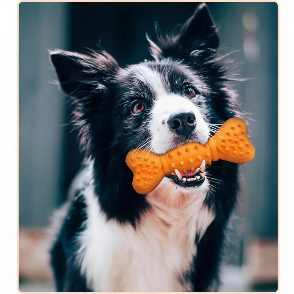 Jouets à mâcher pour chiens de taille moyenne, jouets grinçants en caoutchouc naturel Durable, jouets de dentition en forme d'os pour chiot