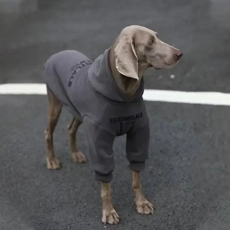 Pull à Capuche Rembourré Épais pour Grand Chien | Vêtements Hiver Chauds, Style Blocage de Couleur (Bulldog Anglais)