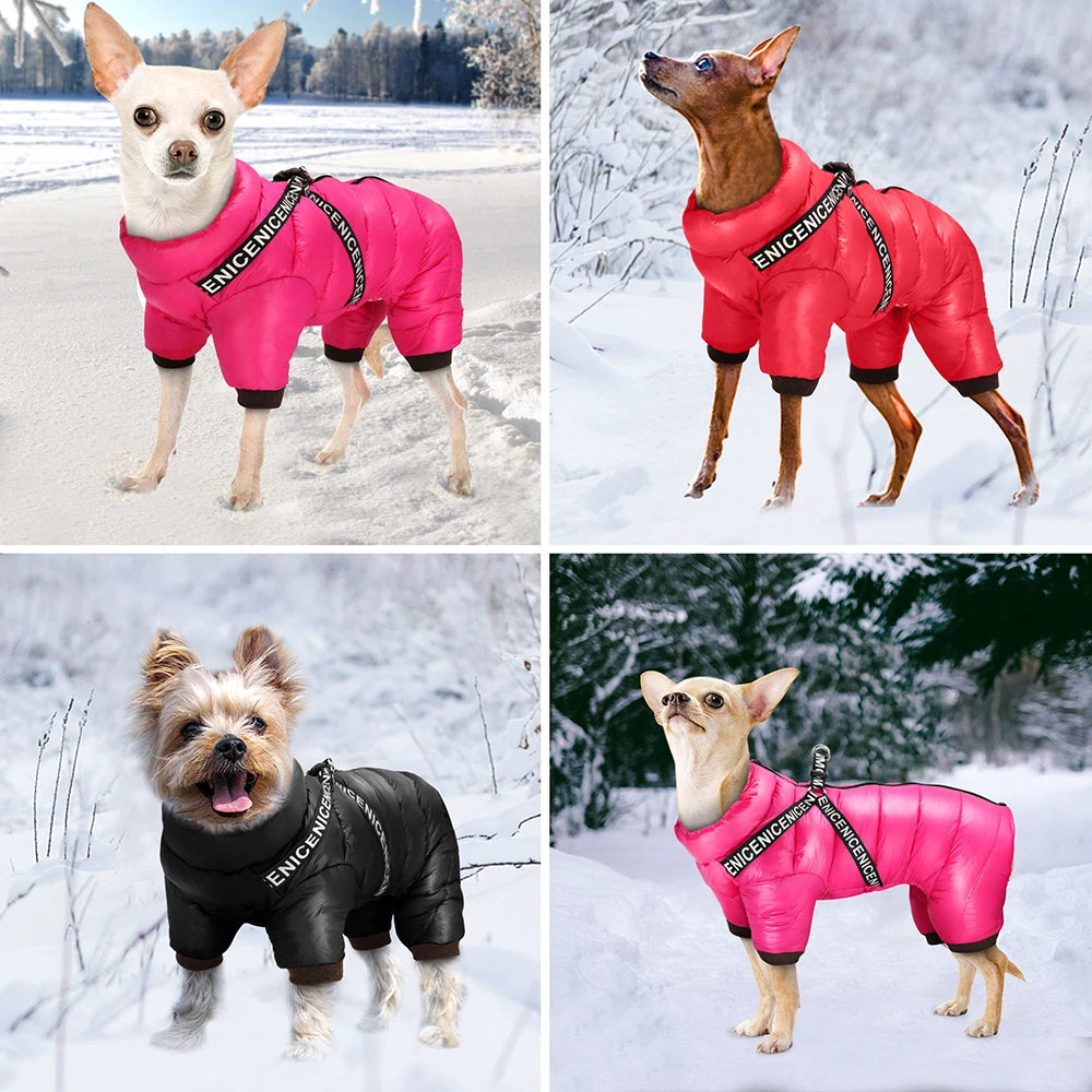 Veste d'Hiver Super Chaude avec Harnais Intégré | Manteau Imperméable, Doux pour Petit et Moyen Chien (Chihuahua, Bulldog Français)