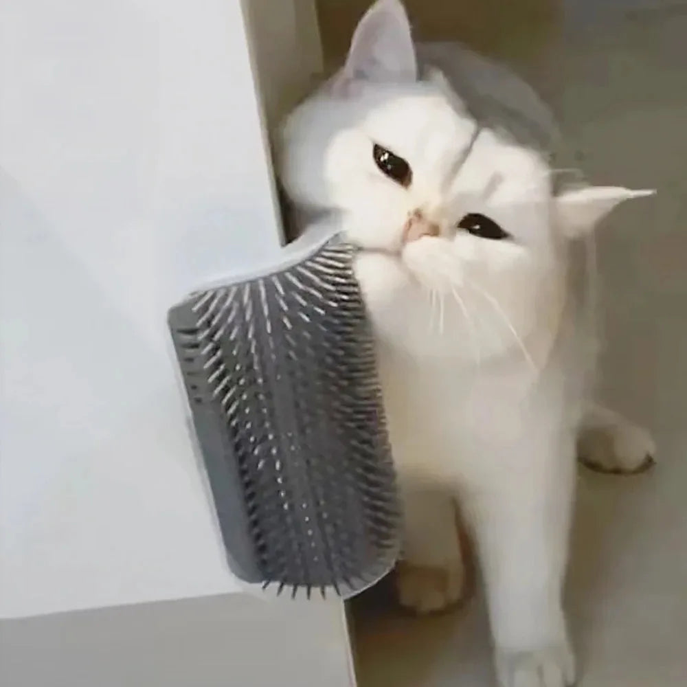 Brosse d'Angle Auto-Toilettage pour Chat | Peigne de Massage Mural avec Compartiment Herbe à Chat (Anti-Chute de Poils)