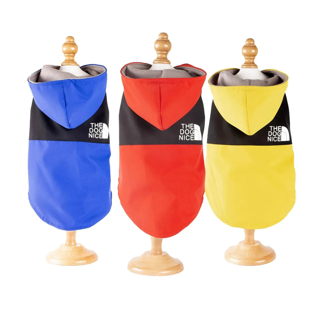 Chemise/Chemisier d'Été Légère pour Chiot | Vêtements Tendance, Doux pour Petit Chien (Fournitures Printemps/Été)