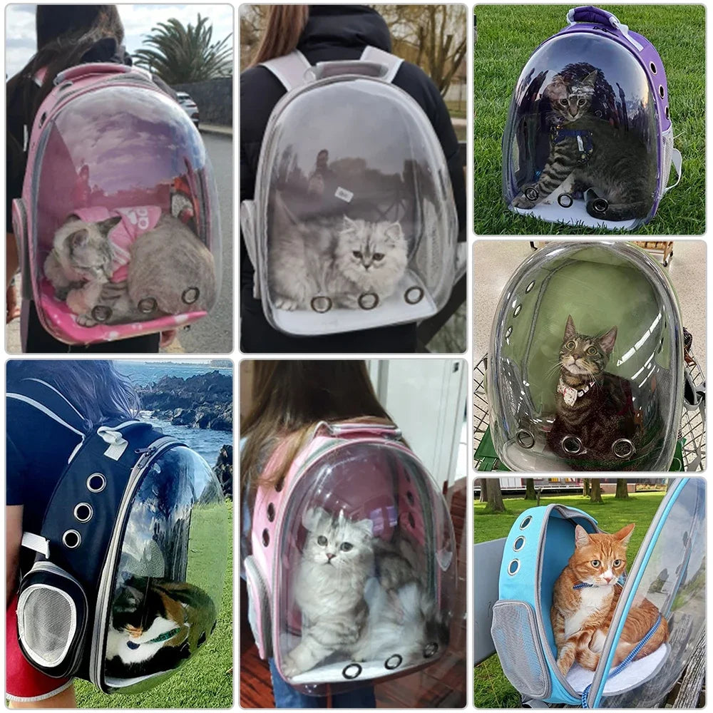 Sac à Dos Capsule de Transport (Vue 360°) | Fenêtre Transparente Respirante, Léger & Sûr pour Petits Chiens et Chats (Toutes Races)