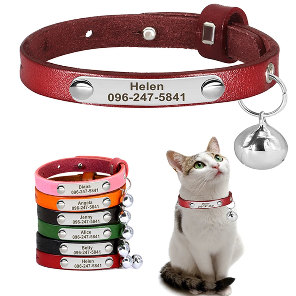 Collier d'Identification Personnalisé en Cuir pour Chat & Chiot | Anti-Perte, Gravé avec Nom et Numéro de Téléphone