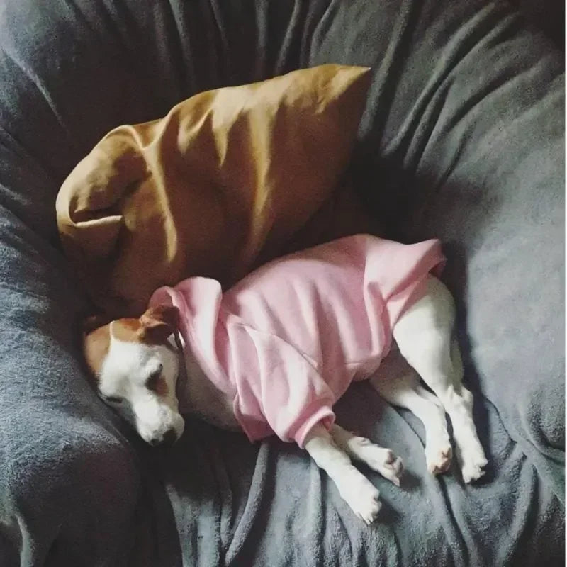 Sweat à Capuche Coupe-Vent Chaud pour Chien (XS à 9XL) | Veste Coton, Adaptée Petit à Grand Chien (Bulldog Français)