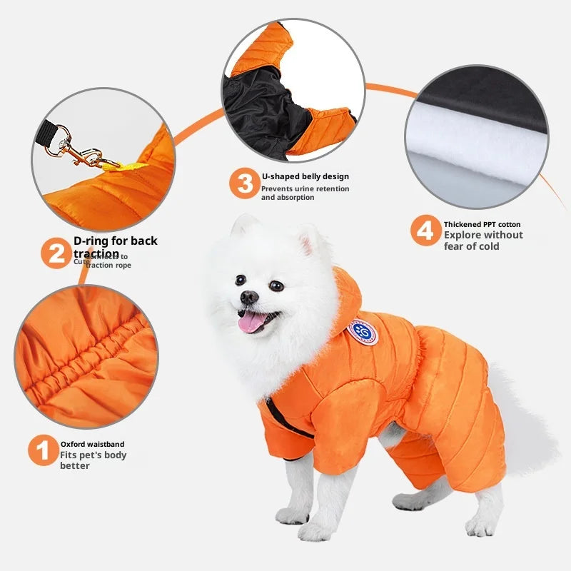 Manteau d'Hiver à 4 Pattes Imperméable et Épais (Coton PP) | Vêtements Chauds, Anneau en D Intégré et Design Hygiénique (Teddy, Bichon)