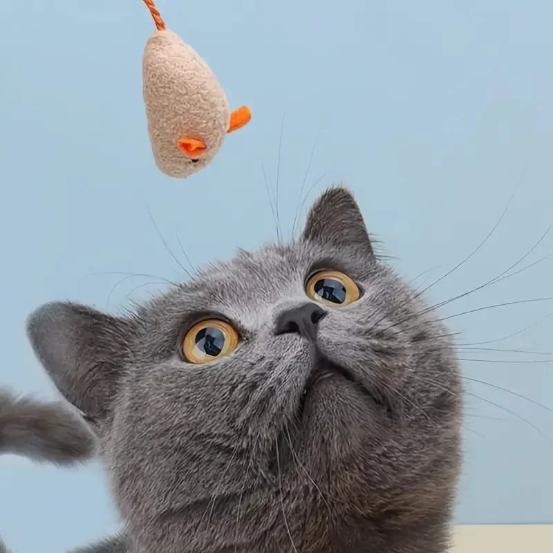 Jouets interactifs en peluche pour rat et chat, lin durable, parfaits pour les petites étudiés, sans danger pour les jeux d'intérieur, 3 pièces, 7 pièces