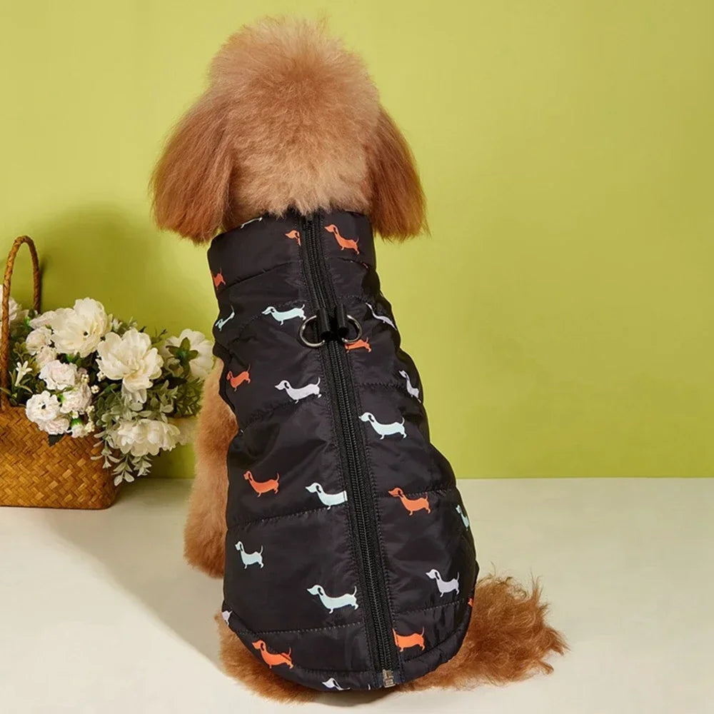 Veste Hiver Imperméable et Coupe-Vent pour Petit Chien | Manteau Chaud, Fermeture Éclair, Anneau de Traction Intégré (Yorkie, Chihuahua)