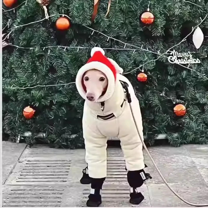 Vêtements pour chiens manteau pour animaux de compagnie grands chiens Whippet lévrier veste chiot vêtements coupe-vent Costume hiver automne tenue sweats à capuche vêtements