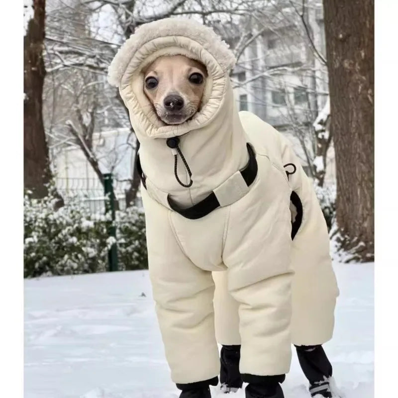 Vêtements pour chiens manteau pour animaux de compagnie grands chiens Whippet lévrier veste chiot vêtements coupe-vent Costume hiver automne tenue sweats à capuche vêtements