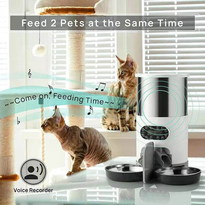 Mangeoire à synchronisation pour chat, application intelligente, en acier inoxydable, Double repas, aliments pour animaux de compagnie, alimentation à distance, distributeur automatique adapté aux chats et aux chiens