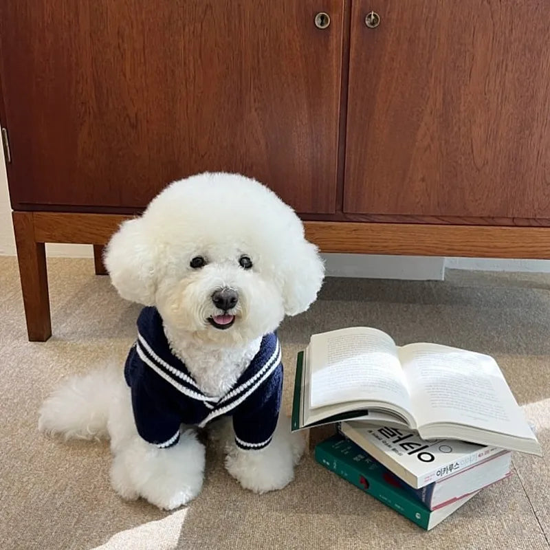 Vêtements tricotés pour animaux de compagnie, pour automne et hiver, pulls chauds, vêtements à boutons rayés pour chiens, fournitures pour animaux de compagnie