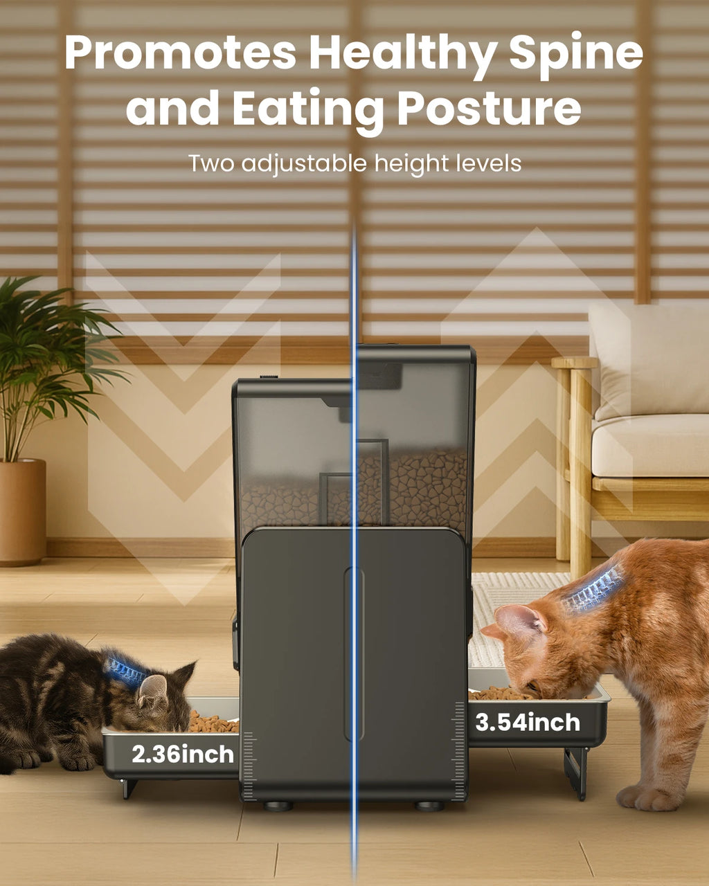 Distributeur automatique de croquettes pour chat, 5l, 2 bols, enregistreur vocal intelligent, panneau de commande enfichable, distributeur automatique de nourriture pour chat pour aliments secs pour animaux de compagnie