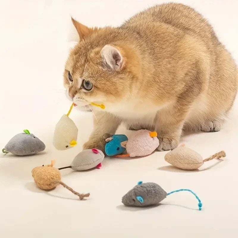 Jouets interactifs en peluche pour rat et chat, lin durable, parfaits pour les petites étudiés, sans danger pour les jeux d'intérieur, 3 pièces, 7 pièces