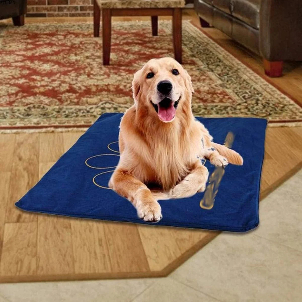 Coussin Chauffant Électrique 7 Niveaux pour Chien & Chat | Tapis Sécurisé, Anti-Morsure et Imperméable (60 x 45 cm)