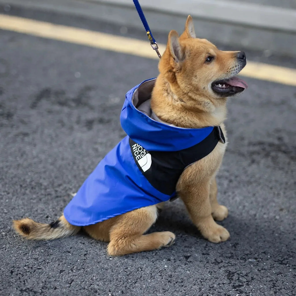 Chemise/Chemisier d'Été Légère pour Chiot | Vêtements Tendance, Doux pour Petit Chien (Fournitures Printemps/Été)