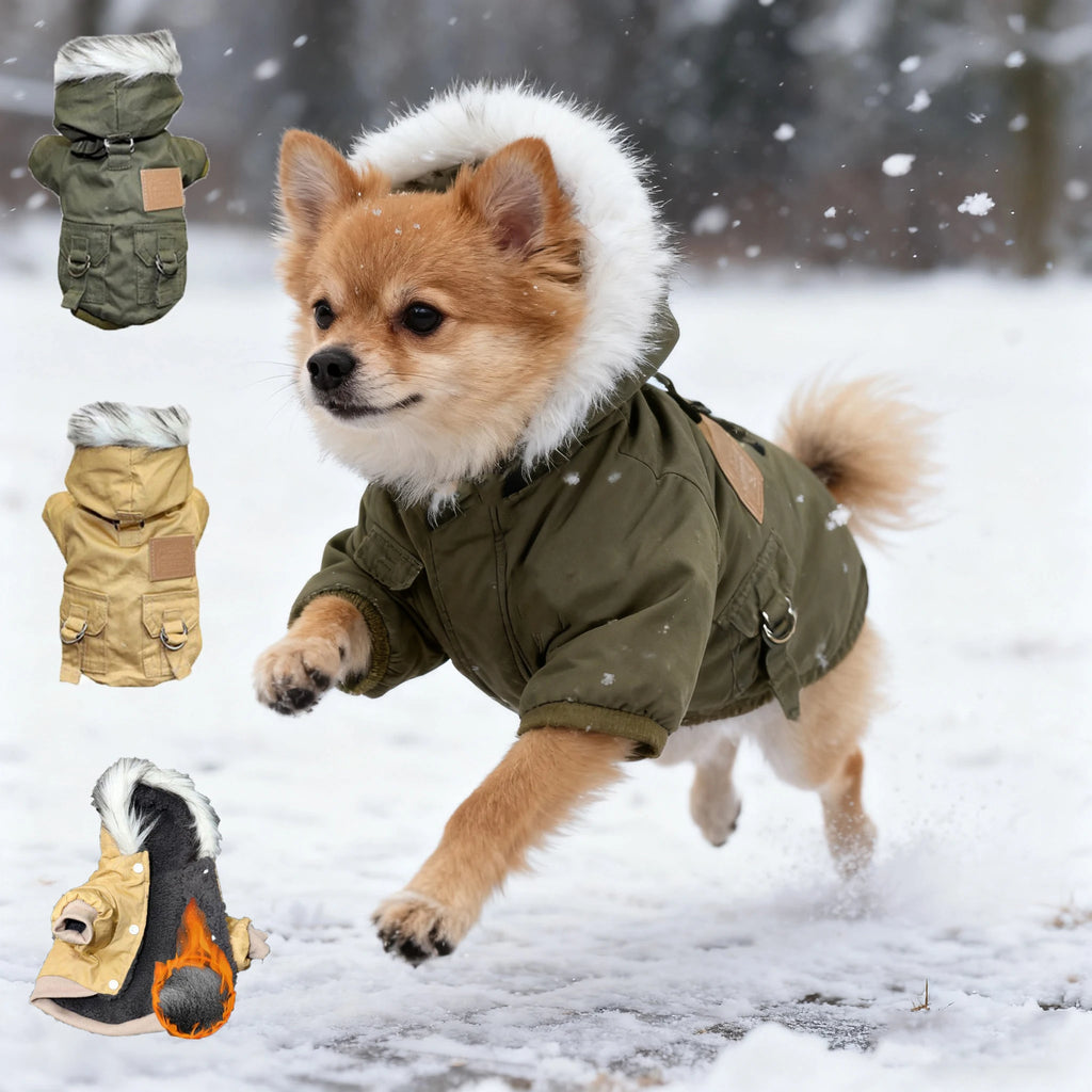 Manteau Hiver Doux et Chaud pour Chien (Chihuahua) | Veste Coupe-Vent à Capuche, Facile à Enfiler (Petit et Moyen Chien)