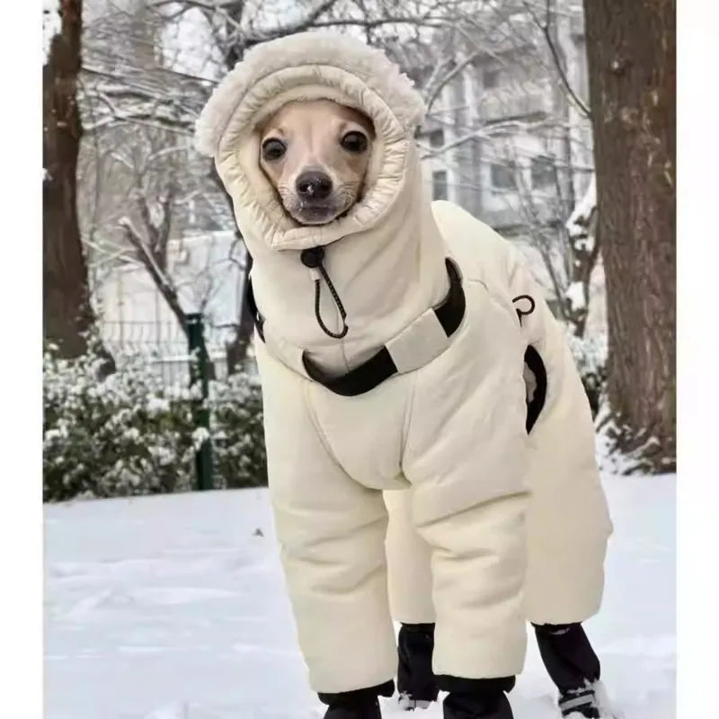 Vêtements pour chiens manteau pour animaux de compagnie grands chiens Whippet lévrier veste chiot vêtements coupe-vent Costume hiver automne tenue sweats à capuche vêtements