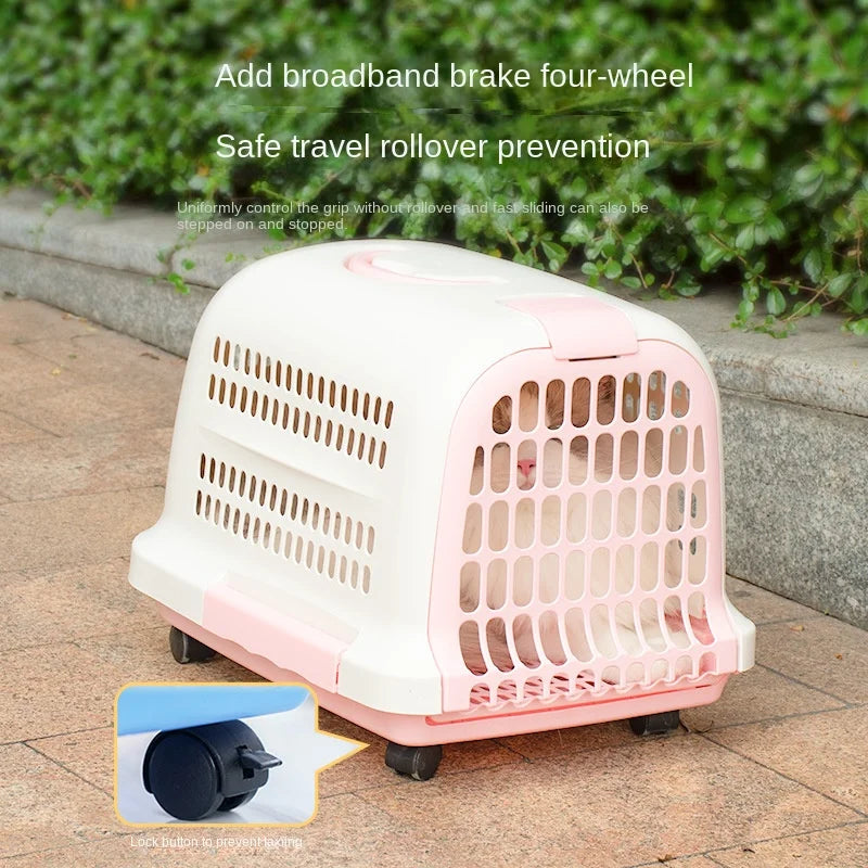 Boîte de Transport d'Aviation (46 cm) | Plastique Rigide Durable, Option Roulettes, Essentiel Voyage pour Chats & Chiens (5 kg Max.)