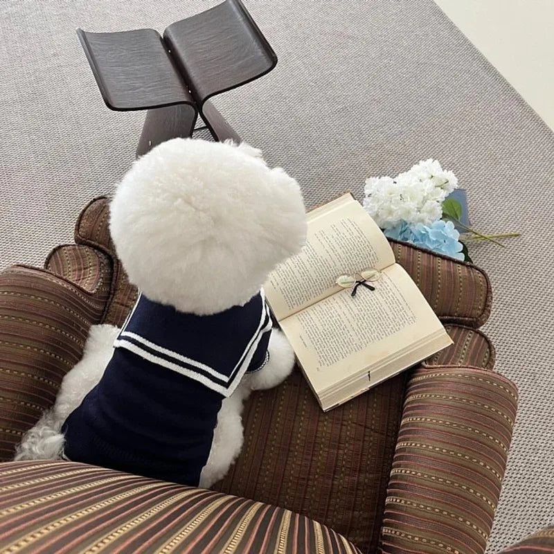 Vêtements tricotés pour animaux de compagnie, pour automne et hiver, pulls chauds, vêtements à boutons rayés pour chiens, fournitures pour animaux de compagnie