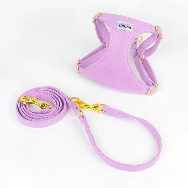 Harnais + Laisse pour Petits Chiens – Ultra Confort, Réglable & Anti-Traction | Pour Chiots, Chihuahua, Caniche, Bichon & Chats