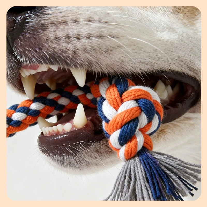 Jouet à Mâcher Grinçant en Velours Côtelé | Peluche Douce et Amusante pour Chiot, Entraînement et Jeu Interactif (Petit/Moyen Chien)  2. Description Produite Optimisée