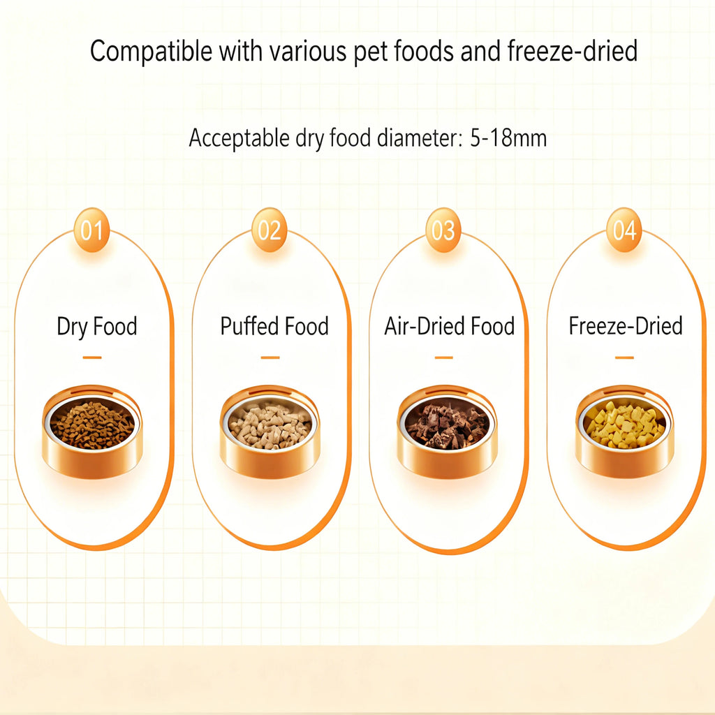 Mangeoire automatique intelligente pour animaux de compagnie, 6l, avec minuterie, USB et distributeur d'alimentation lente alimenté par batterie, pour chats et chiens, sans prise incluse