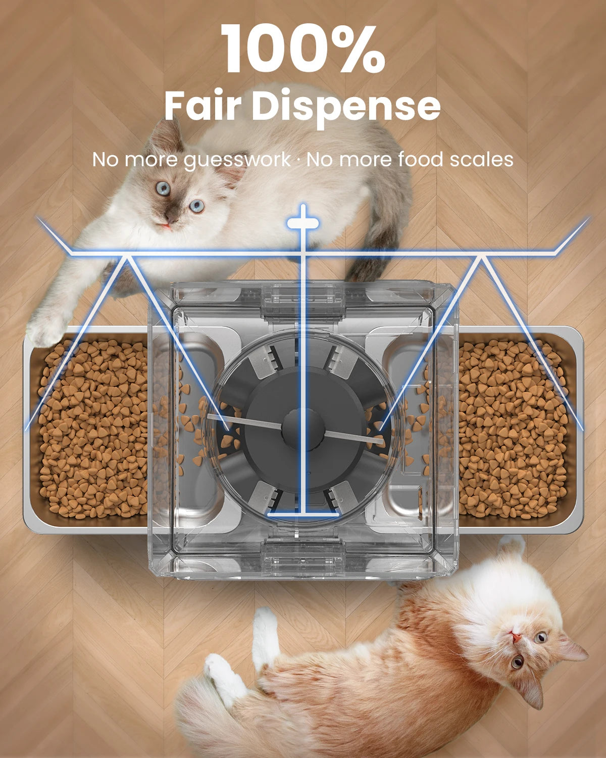 Distributeur automatique de croquettes pour chat, 5l, 2 bols, enregistreur vocal intelligent, panneau de commande enfichable, distributeur automatique de nourriture pour chat pour aliments secs pour animaux de compagnie
