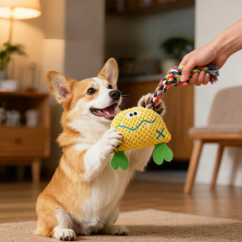 Jouet à Mâcher Grinçant en Velours Côtelé | Peluche Douce et Amusante pour Chiot, Entraînement et Jeu Interactif (Petit/Moyen Chien)  2. Description Produite Optimisée