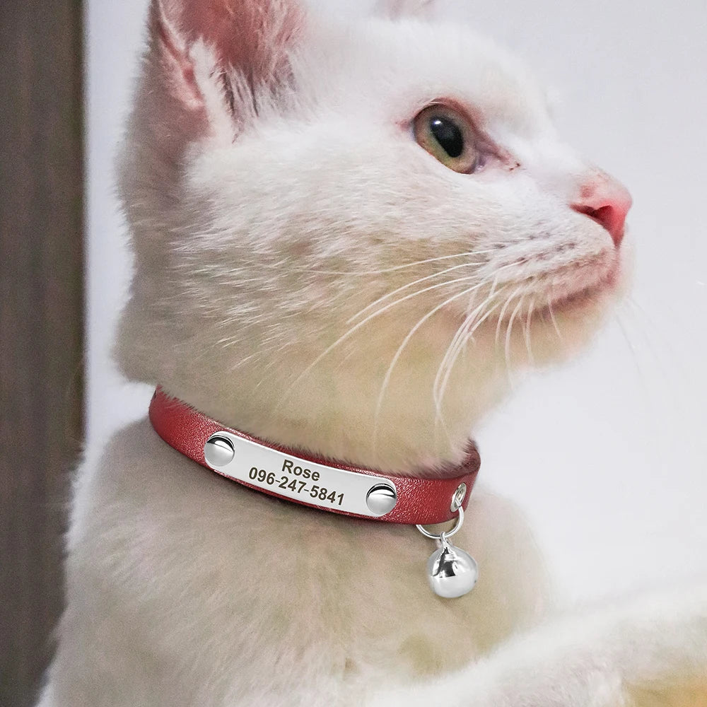Collier d'Identification Personnalisé en Cuir pour Chat & Chiot | Anti-Perte, Gravé avec Nom et Numéro de Téléphone