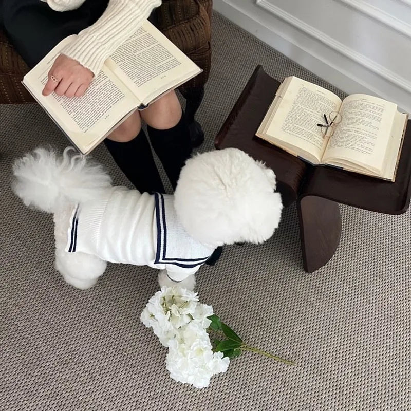 Vêtements tricotés pour animaux de compagnie, pour automne et hiver, pulls chauds, vêtements à boutons rayés pour chiens, fournitures pour animaux de compagnie