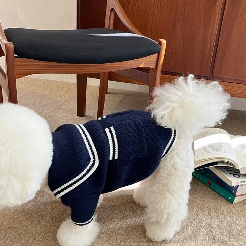 Vêtements tricotés pour animaux de compagnie, pour automne et hiver, pulls chauds, vêtements à boutons rayés pour chiens, fournitures pour animaux de compagnie