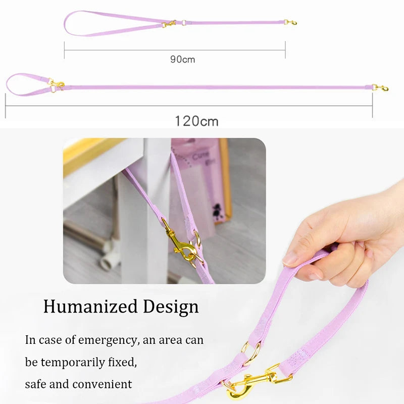 Harnais + Laisse pour Petits Chiens – Ultra Confort, Réglable & Anti-Traction | Pour Chiots, Chihuahua, Caniche, Bichon & Chats