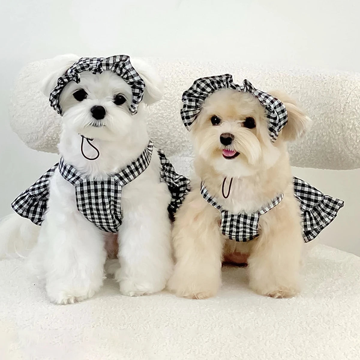 Vêtements pour chiens à la mode, Style moderne, jupe à carreaux noire et blanche avec chapeau, vêtements pour chiens, robes, accessoires pour animaux de compagnie, vêtements d'été pour chiots