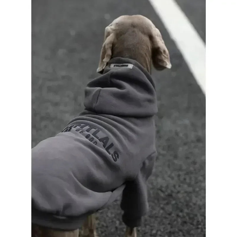 Pull à Capuche Rembourré Épais pour Grand Chien | Vêtements Hiver Chauds, Style Blocage de Couleur (Bulldog Anglais)