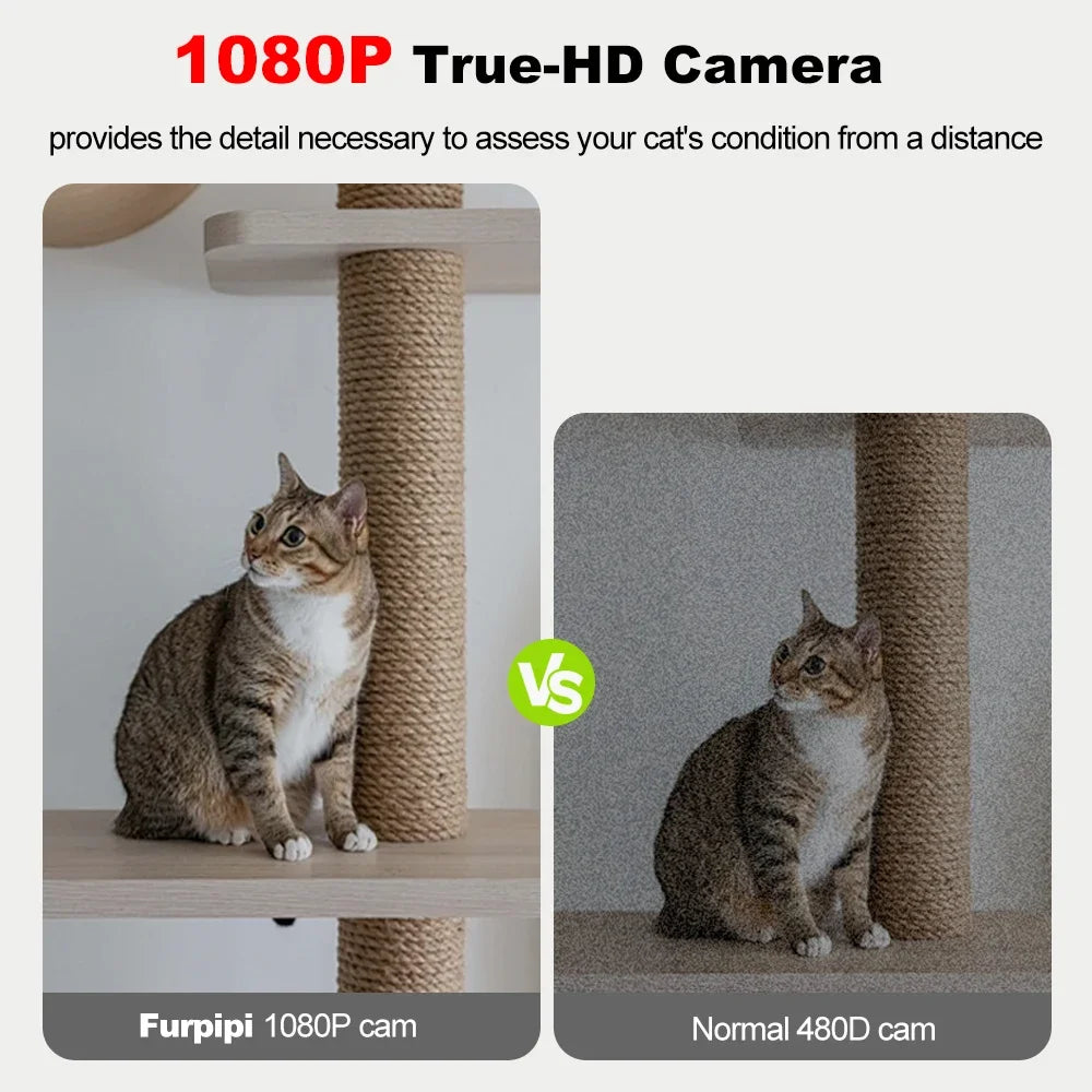 Furpipi 8L mangeoires automatiques intelligentes pour chats avec caméra HD 1080P 5G WiFi mangeoire pour animaux de compagnie Tuya APP contrôle distributeur automatique de nourriture pour chien et chat
