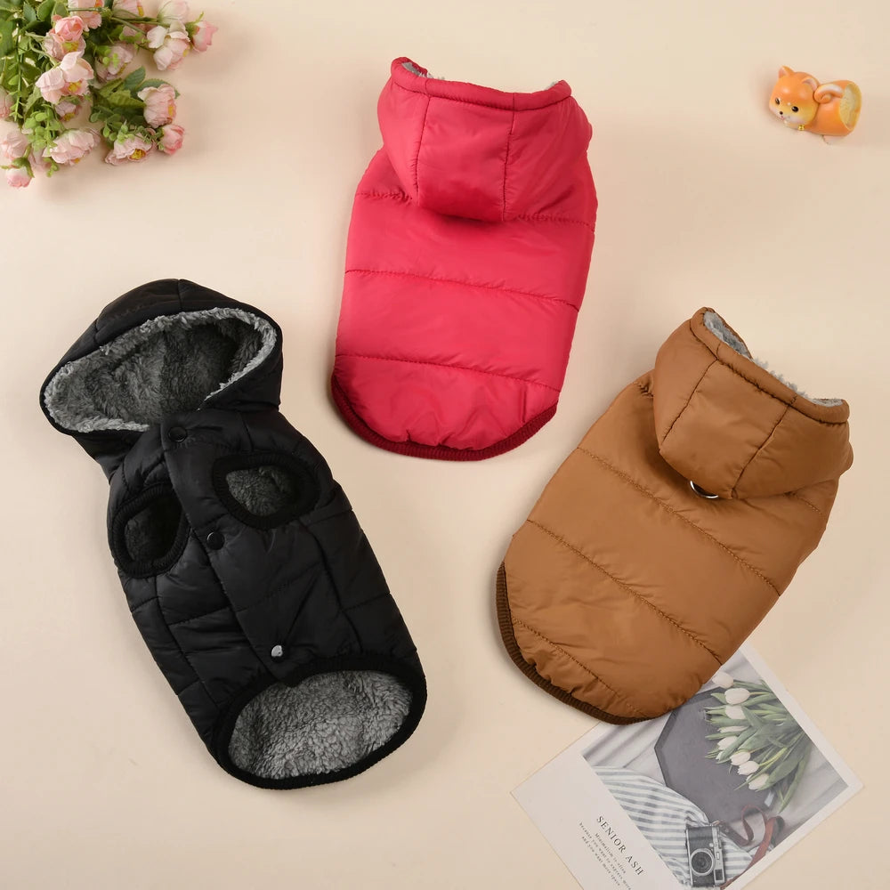 Manteau d’Hiver à Capuche pour Chien & Chat – Polaire Chaude, Coupe-Vent & Imperméable | XS à XL | Pour Petits & Moyens Animaux