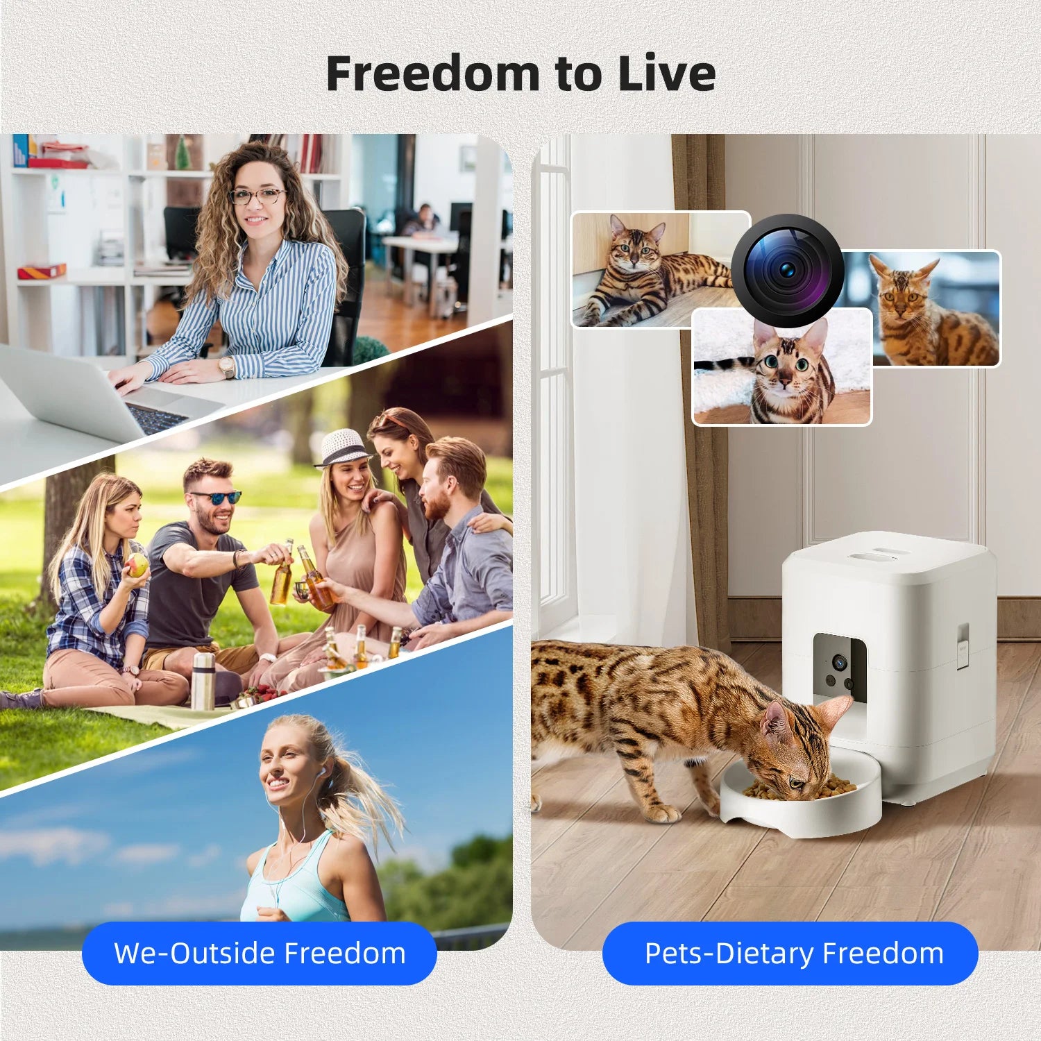 Mangeoire intelligente pour animaux de compagnie 2L avec vidéo mangeoire automatique distributeur de nourriture pour chien séché Quantification chronométrée WIFI contrôle mangeoire pour chat bol pour chien de compagnie