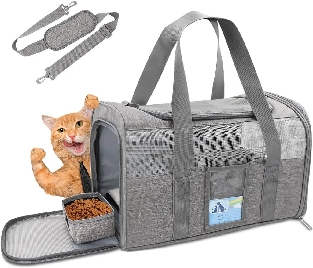 Porte-chat pour chats de grande taille 20 lb, chat moyen de moins de 25 lb, porte-chien pour petits chiens, porte-animaux de compagnie de voyage souple
