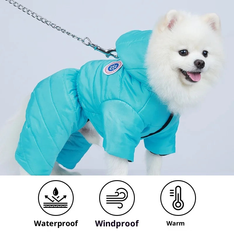 Manteau d'Hiver à 4 Pattes Imperméable et Épais (Coton PP) | Vêtements Chauds, Anneau en D Intégré et Design Hygiénique (Teddy, Bichon)