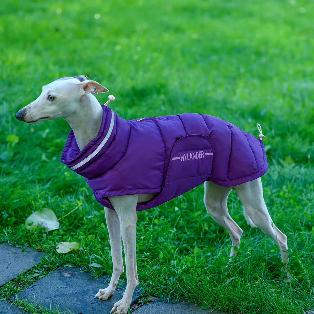 Veste Hiver Réfléchissante pour Grand Chien | Manteau Chaud, Matelassé, Col Haut et Résistant à l'Eau (Coupe Ajustée, Toutes Tailles)