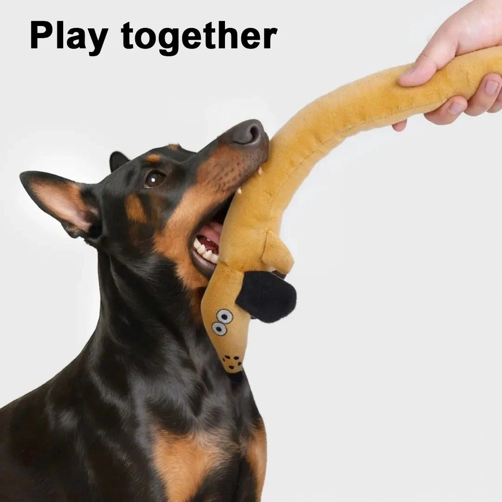 Jouet en Peluche Courte Durable pour Chien | Jouet Interactif Anti-Ennui (Tire à la Corde) | Idéal pour Chiots et Chiens de Toute Taille