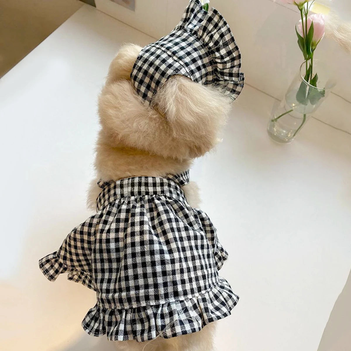 Vêtements pour chiens à la mode, Style moderne, jupe à carreaux noire et blanche avec chapeau, vêtements pour chiens, robes, accessoires pour animaux de compagnie, vêtements d'été pour chiots