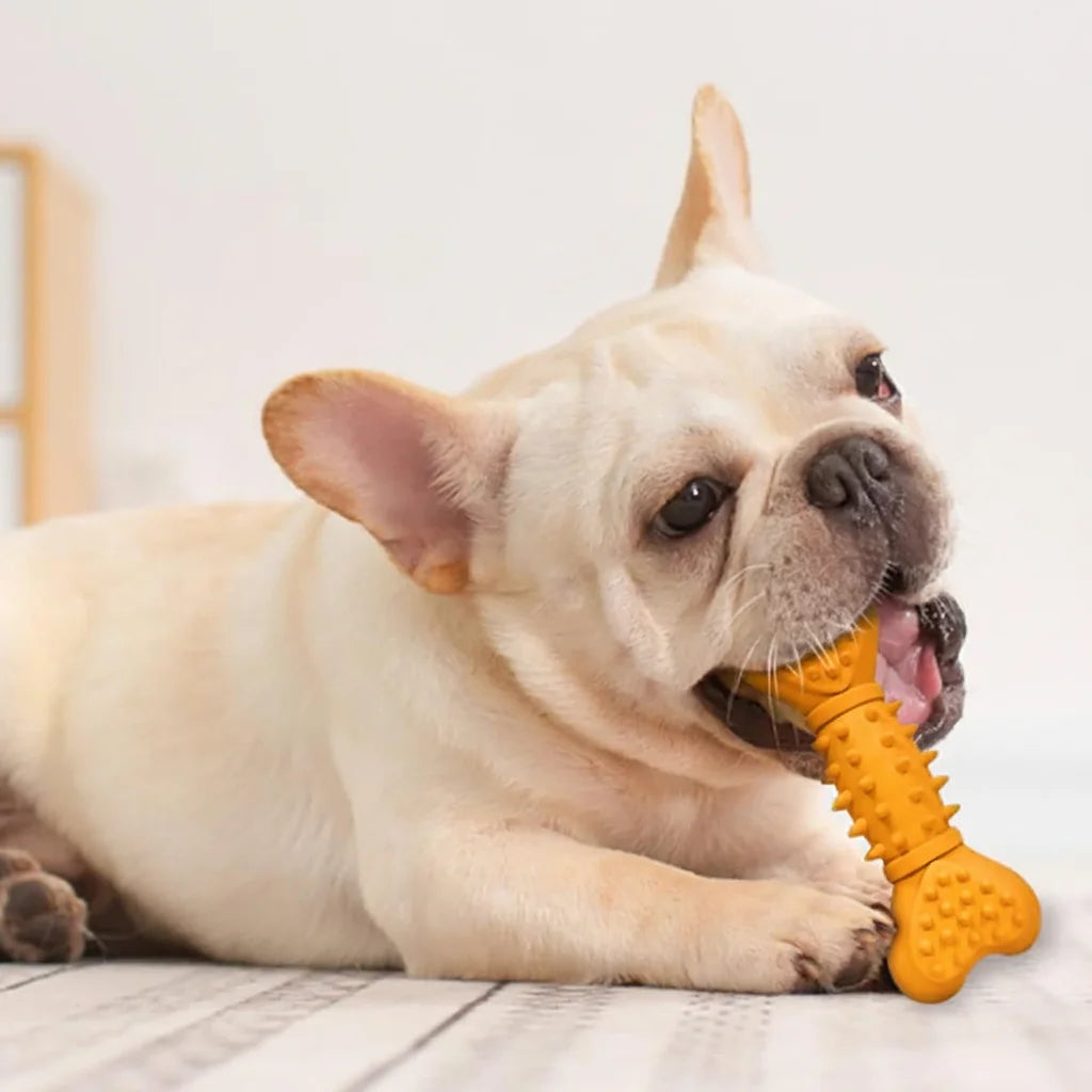 Jouets à mâcher pour chiens de taille moyenne, jouets grinçants en caoutchouc naturel Durable, jouets de dentition en forme d'os pour chiot