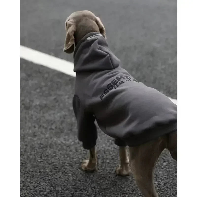 Pull à Capuche Rembourré Épais pour Grand Chien | Vêtements Hiver Chauds, Style Blocage de Couleur (Bulldog Anglais)